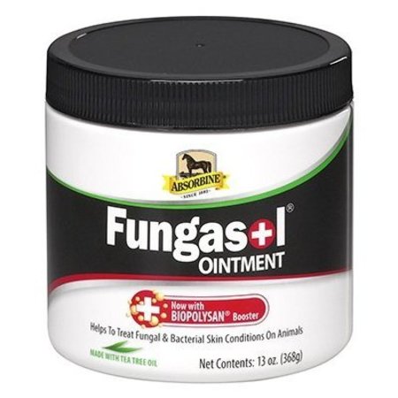 W.F. YOUNG 13OZ Fungasol Ointment 430450